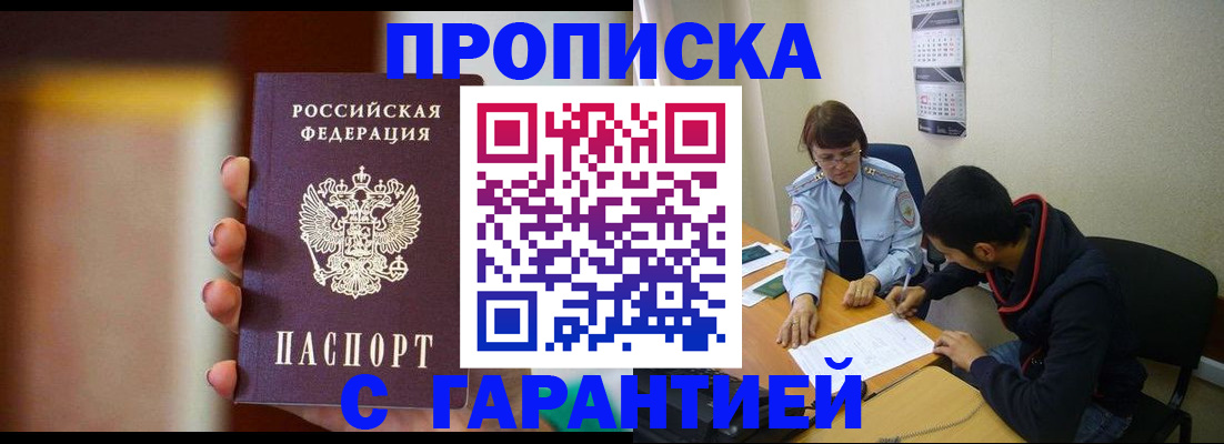 прописка поиск в Курске
